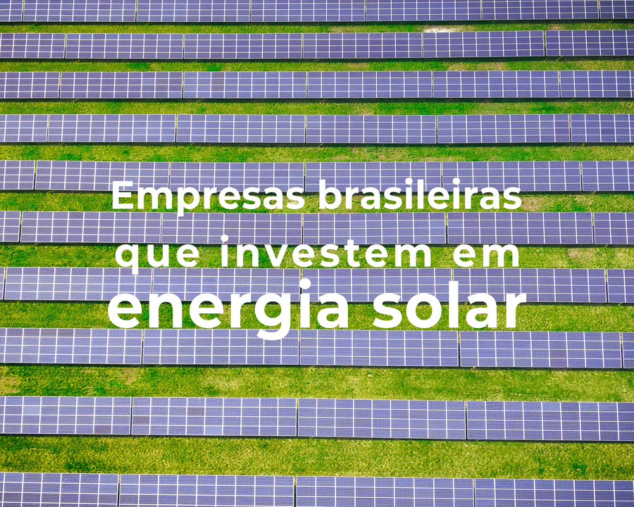 Conheça grandes empresas brasileiras que investem em energia limpa
